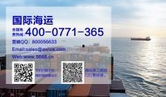 美国海运爆料视频最新